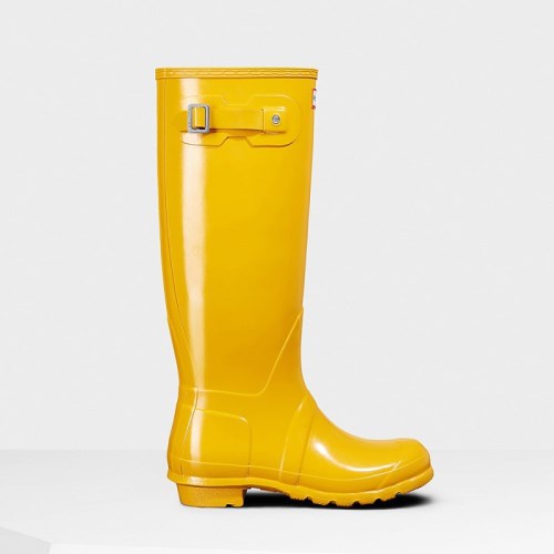 Hunter Original Gloss Tall Rain Boots For Womens - NZ S1096